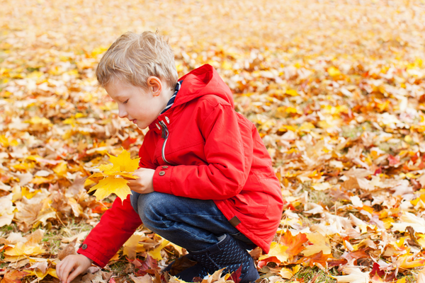 Autumn in Ireland: What to Notice and Do With Kids