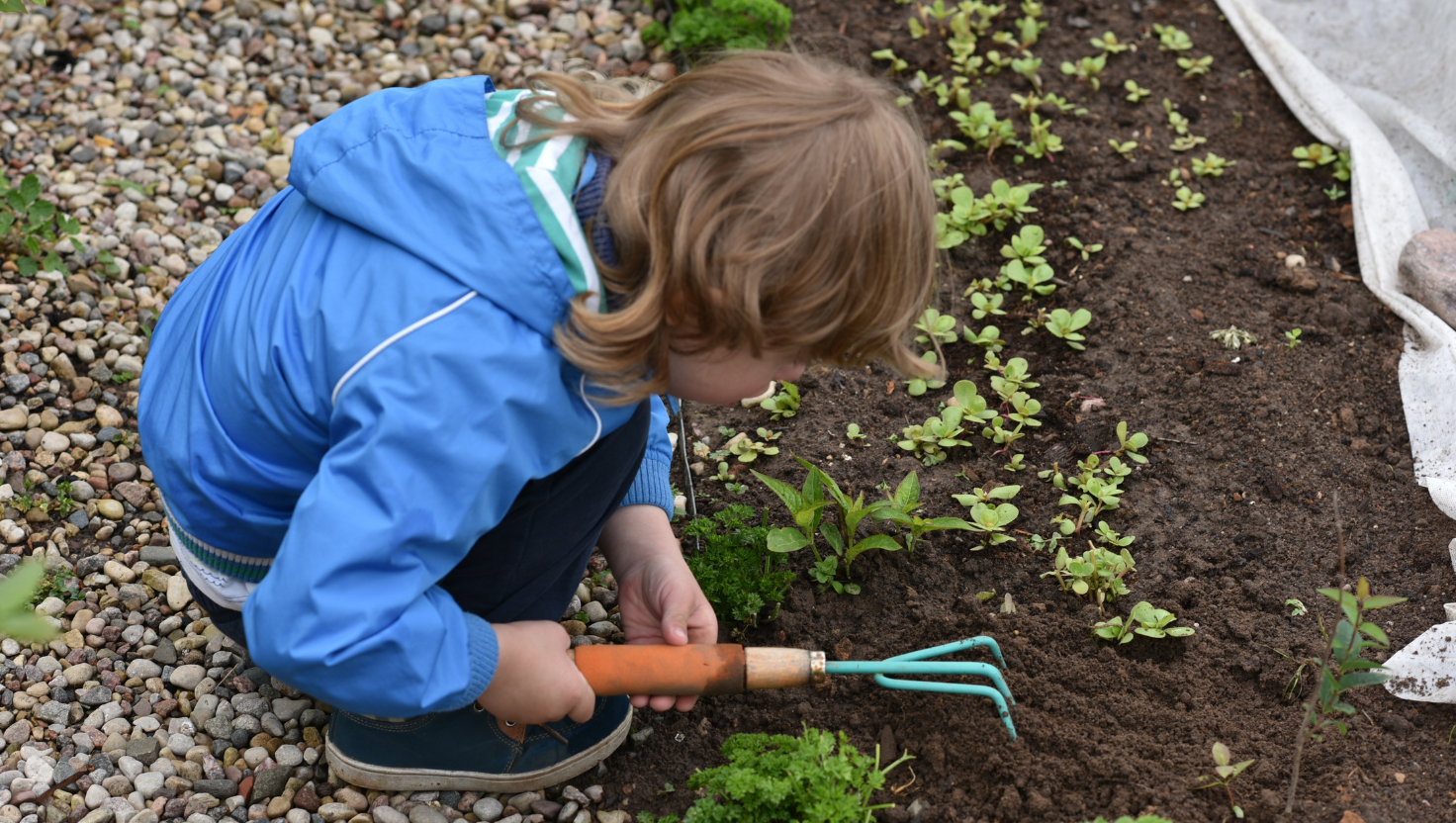 Gardening Jobs for May in Ireland (With Kids)