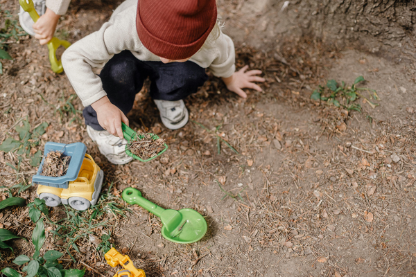 What to Plant in September in Ireland With Kids