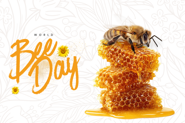 World Bee Day: Five Minutes with the Bees