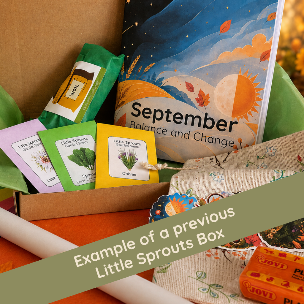 Little Sprouts Garden Box | Irish Nature Subscription for Children