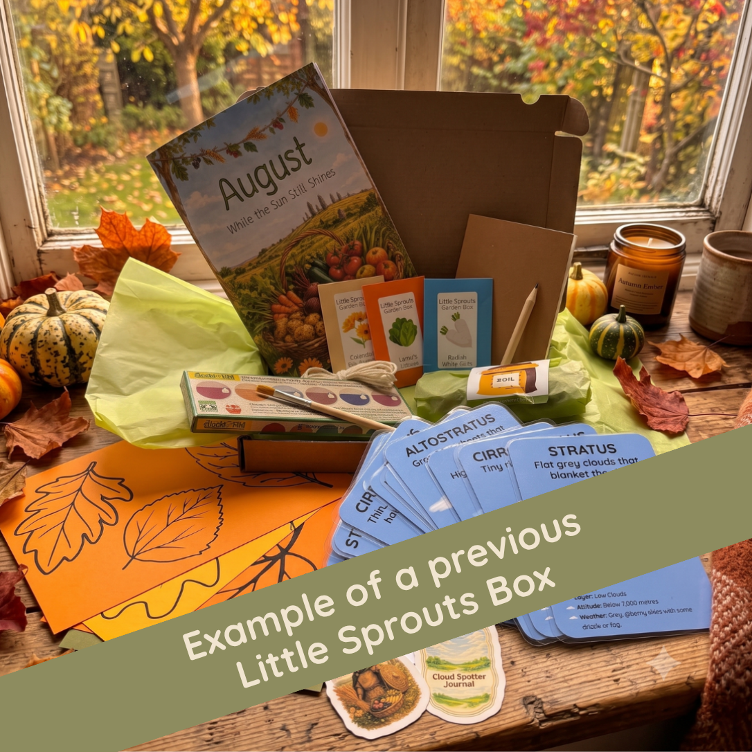 Little Sprouts Garden Box | Irish Nature Subscription for Children