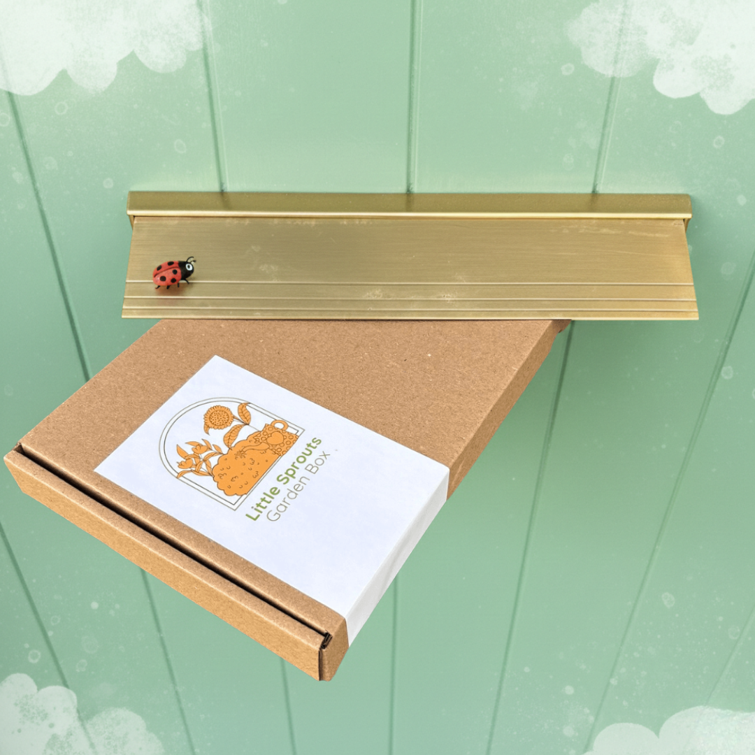 May Little Sprouts Garden Box